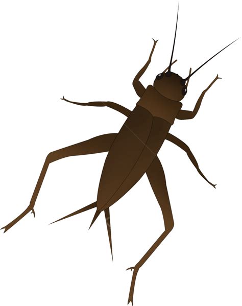 Vecteur De Dessin Animé Original Insecte Cricket Ascaris Element Png