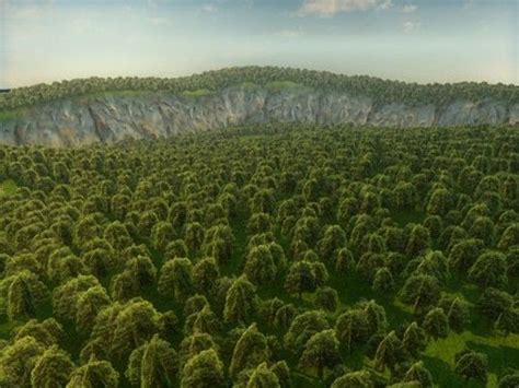 C4d Landscape Forest Forest Landscape Landscape Forest