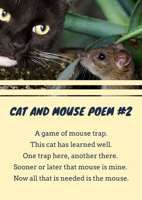 16 Cat Poems For Kids To Read 🐈 Imagine Forest