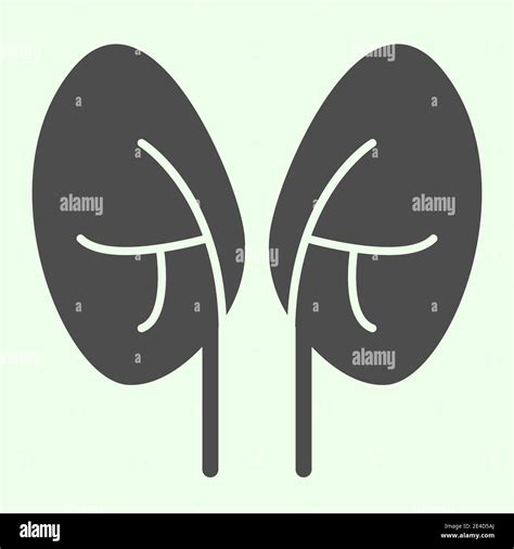 Kidneys Solid Icon Pair Of Human Kidney Organ Glyph Style Pictogram On