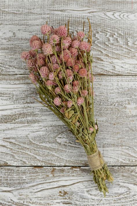 Amaranth Bundle Light Pink 4oz 6 8in Sola Flowers Fake Flowers