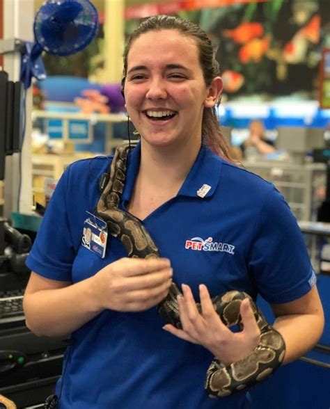 What Are The Differences Between Petco And Petsmart