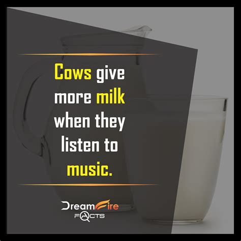 Cows Give More Milk When They Listen To Music Listening To Music