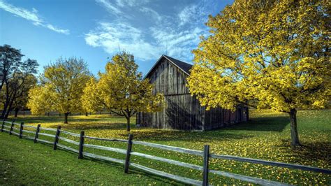 Beautiful Wood House On Grass With Trees Surrounded By Wood Fence Hd