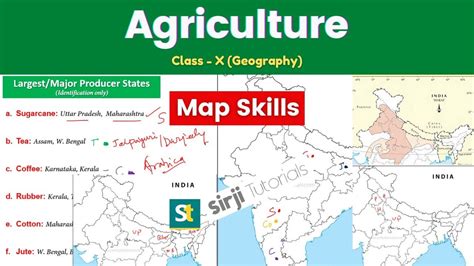 Map Work Agriculture Class 10 Geography Cbse Term 1 Exam Class 10