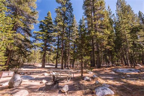 Best Yosemite National Park Camping Photos James Kaiser