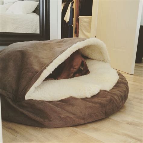 Cozy Cave Best Vizsla Bed Dog Bed Cool Dog Beds Cave Dog Bed
