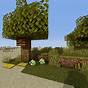 How To Move Bee Hives In Minecraft