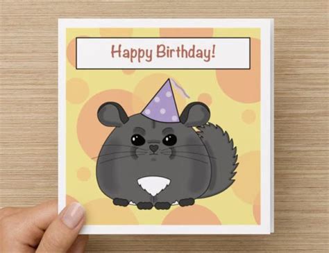 Cheeky Chins Chinchilla Birthday Cards Set Of Five Etsy Birthday