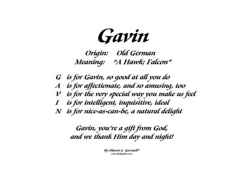 Meaning Of Gavin Lindseyboo
