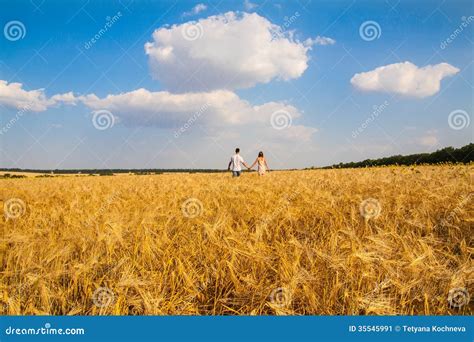 Young Couple Walking Through Wheat Field Stock Image Image Of