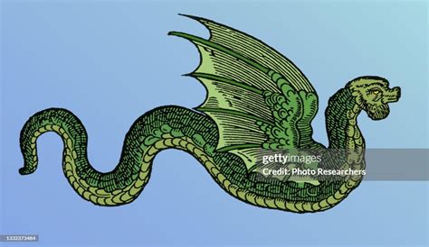 Colorized Illustration Depicts An Amphiptere A Mythical Winged News