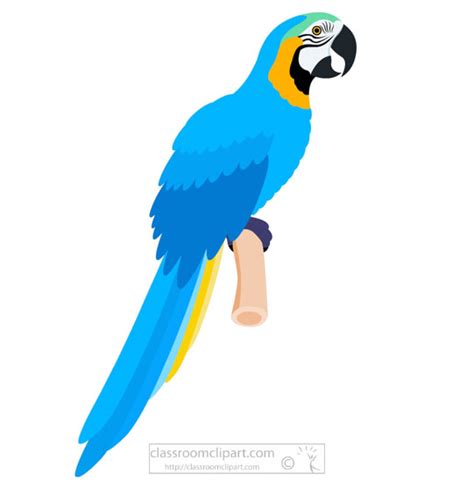 Bird Clipart Clipart Blue Macaw Parrot Clipart 518 Classroom Clipart