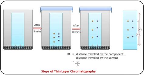 Thin Layer Chromatography Principle Parts Steps Uses