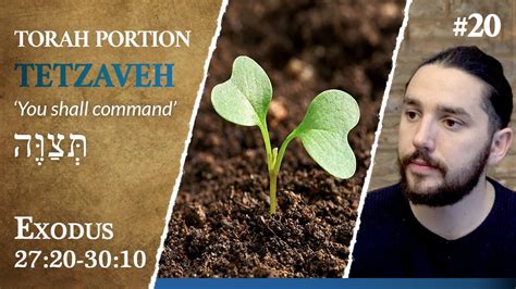 Torah Portion Tetzaveh Yeshuas Parable Of The Sower And Bearing Good
