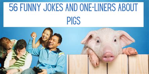56 Funny Jokes And One Liners About Pigs Everythingmom