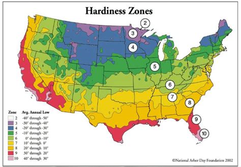 Hardiness Zone Map Quicktrees