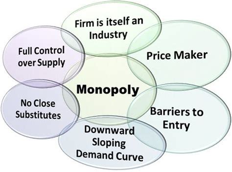 Types of market structures with examples. What is Monopoly Market? definition, meaning and features ...
