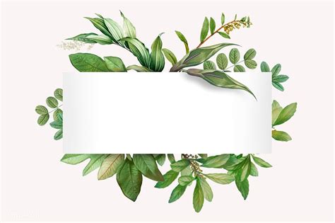 Tropical Botanical Banner Design Illustration Premium Image By