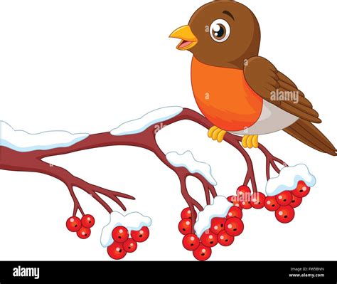 Cartoon Robin Hi Res Stock Photography And Images Alamy