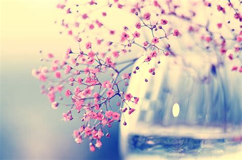 We did not find results for: Images Of Sweet Wallpapers - WallpaperSafari