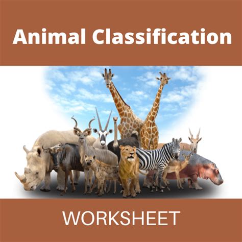 Animal Classification Worksheet Wisdomnest