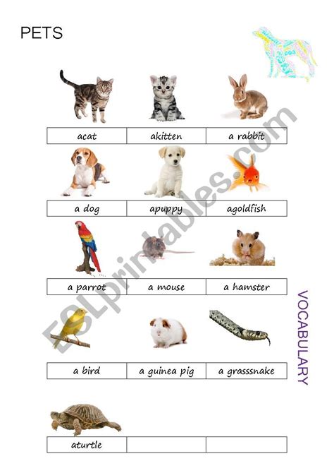 Pets Pictionary Esl Worksheet By Mscuppa