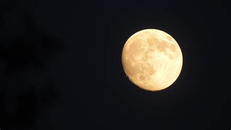 Glorious Moon Photograph By Chris Patel Fine Art America