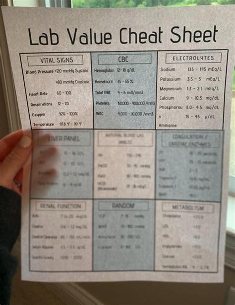 Lab Value Cheat Sheet Memory Tricks Nursing Guides Etsy Lab Values