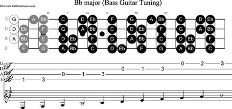 Understand the 12 notes in the musical alphabet. Bass Guitar Scale Bb