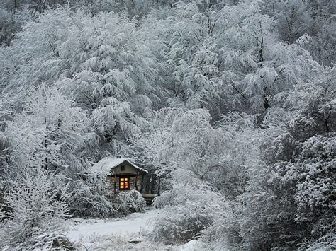 Winter Wonderland Snow Cottage Ice Trees Landscape Hd Wallpaper