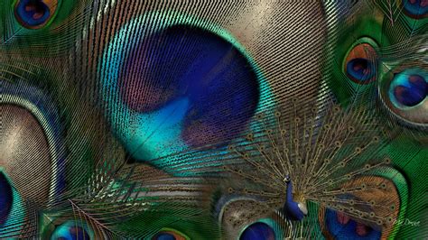 Peacock Feather Background ·① WallpaperTag