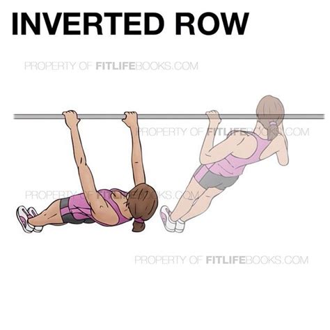 Inverted Row Exercise ↗️ Targets The Back Muscle