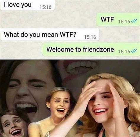 laughing meme i love you wtf 11 what do you mean wtf welcome to friendzone v really funny