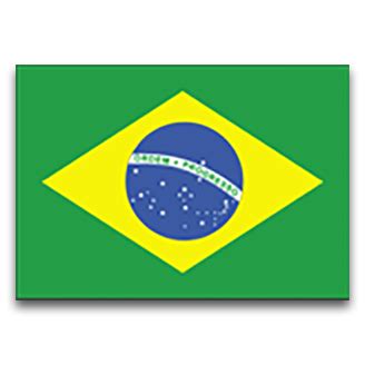 Brazil national footb, team, wikipedia. 15-Year-Old Eric Pardinho Pitches for Brazil in World ...
