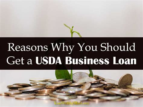 Reasons Why You Should Get A Usda Business Loan Your Wealthy Mind