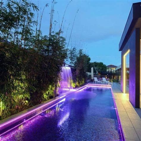 An Outdoor Swimming Pool With Purple Lights On The Side And Trees In