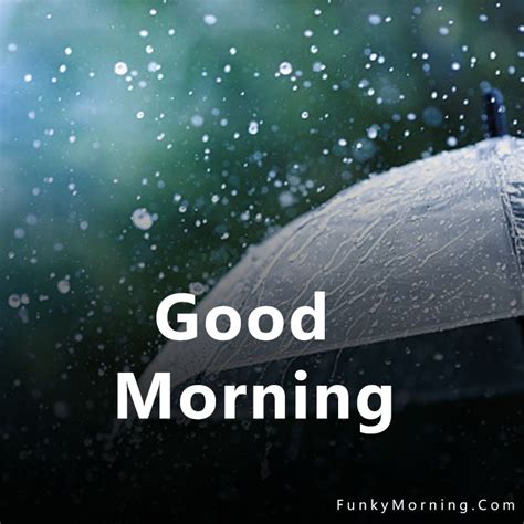 158 Best Rainy Good Morning Images Hd Pics Download Free