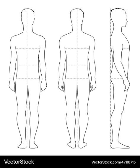Male Figure Template Fashion Croquis Royalty Free Vector