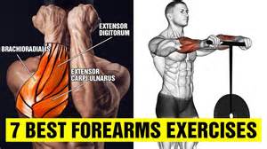 7 Best Forearms Exercises Gym Body Motivation Fitflic