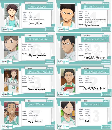 He loves the game and he. Haikyuu!! Character Cards - Aoba Josai by EsteeSo (With images) | Haikyuu