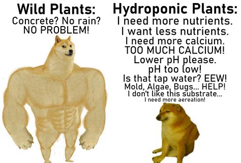 hydroponics in a nutshell r hydroponics