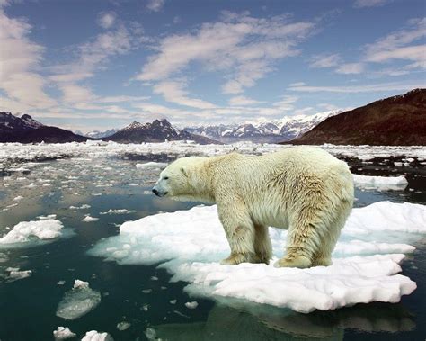 Efecto Invernadero Y Calentamiento Global Definición