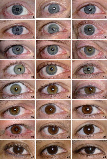 Unusual Eye Color In Humans Best 25 Rare Eye Colors Ideas On Eye