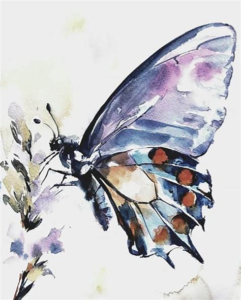 25 Beautiful Watercolor Butterfly Painting Ideas Butterfly Art