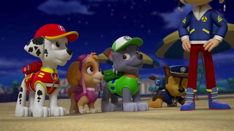 Pups Save An Acequotes Paw Patrol Wiki Fandom Powered By Wikia