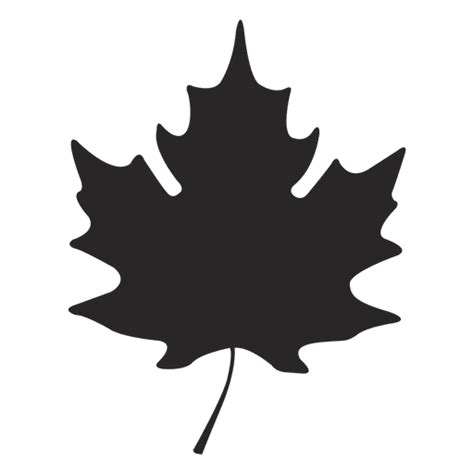 Maple Leaf Transparent Png And Svg Vector File