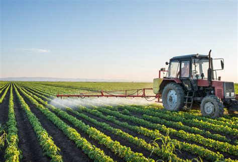 The Advantages And Disadvantages Of Pesticides Chefsbest