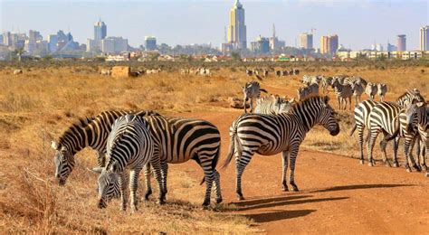 Kenya Day Tours Best Excursions And Day Trips Things To Do Nairobi City