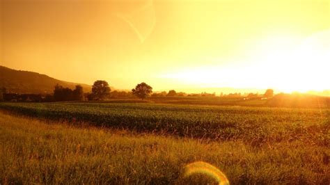 Download summer season stock photos. Essay on Summer Season for Students and Children | 500 ...